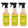 Clean Day Countertop Spray (Set of 3) Flavor: Honeysuckle