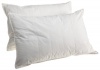 Smartsilk Set of 2 Queen Size Pillows