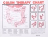 Colon Therapy Chart