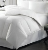 Charter Club Level 4 Vail Elite King Down Comforter