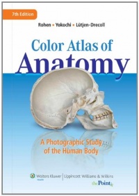 Color Atlas of Anatomy: A Photographic Study of the Human Body (Point (Lippincott Williams & Wilkins))