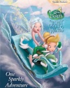 One Sparkly Adventure (Disney Fairies) (Hologramatic Sticker Book)