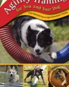 Agility Training for You and Your Dog: From Backyard Fun to High-Performance Training