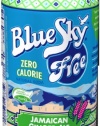 Blue Sky Free Jamaican Ginger Ale,  12-Ounce Cans (Pack of 24)