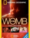 In the Womb Collection (Four-Disc)