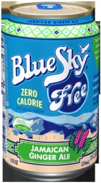 Blue Sky Free Jamaican Ginger Ale,  12-Ounce Cans (Pack of 24)