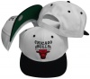 Chicago Bulls White/Black Two Tone Plastic Snapback Adj