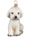 Puppy love at first sight. Just begging for a home, this malti-poo dog ornament is irresistible to animal lovers in hand-painted glass by Joy to the World.