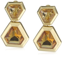 Anne Klein Bernal Heights Gold-Tone Acrylic Stone Clip On Earrings