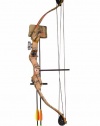 Arrow Precision Stag Youth Archery Recurve / Compound Set