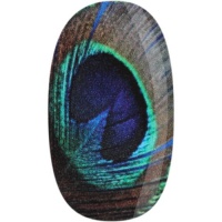 SKINZ by Babe Nail Wrap, Peacock, 1 Ounce