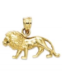 Totally fierce. This petite lion charm features an intricate, carved design and shows how courageous you can be! Crafted in 14k gold. Chain not included. Approximate length: 3/5 inch. Approximate width: 4/5 inch.