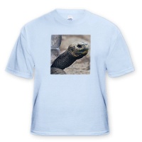 Galapagos Islands, Ecuador. Giant tortoise - SA07 MDE0108 - Michael DeFreitas - Light Blue Infant Lap-Shoulder Tee (6M)