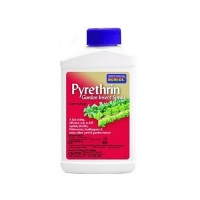 Bonide 857 Pyrethrin Spray Concentrate, 8-Ounce