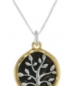 Sterling Silver and Gold over Sterling Silver A Friend May Well Be Reckoned The Masterpiece of Nature-Ralph Waldo Emerson Two Charm Reversible Pendant Necklace, 18