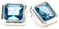 Anne Klein Glen Park Silver-Tone Blue Colored Acrylic Stone Earrings