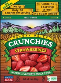 Crunchies Freeze-Dried Fruit Snack, Strawberries, 1-Ounce Pouches (Pack of 6)