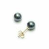 14k Yellow Gold 5x5.5mm AA Black Freshwater Cultured Pearl Stud Earrings