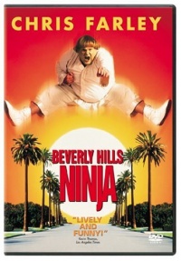 Beverly Hills Ninja