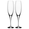 Intermezzo Satin Flute Glass (Set of 2)