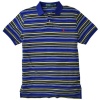 Polo Ralph Lauren Men's Custom Fit Mercerized Striped Polo