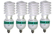 Full Spectrum Light Bulb - ALZO 85 watt CFL 5500K - Case of 4