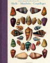 Shells / Muscheln / Coquillages: Conchology, or The Natural History of Sea, Freshwater, Terrestrial and Fossil Shells (English, French and German Edition)