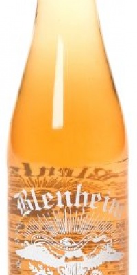 Blenheim NOT AS HOT GINGER ALE  try the red one! It's spicy!, 12-Ounce Glass Bottle (Pack of 12)