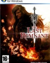 The Last Remnant