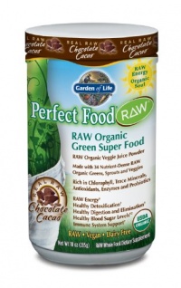 Garden of Life Perfect Food Raw Organic Chocolate Powder, 285 Gram