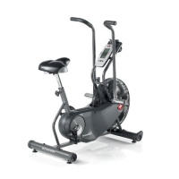 Schwinn AD6 Airdyne Exercise Bike (Black)