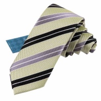 Green Skinny Tie for Men Beautiful Black Stripes Skinny Necktie Matching Gift Box Set By Epoint EAE1027