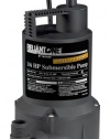 Wayne RUP160 1/6-Horsepower 3,000 GPH Oilless Submersible Utility Water Pump