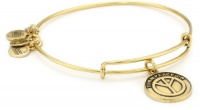 Alex and Ani Bangle Bar Turn Peace Up Russian-Gold Expandable Bracelet