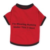 Zack & Zoey Polyester/Cotton Nothing Under This Shirt Dog Tee, Small, Red