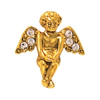 Gold-Tone and Crystal Angel Pin