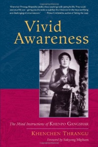 Vivid Awareness: The Mind Instructions of Khenpo Gangshar