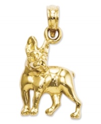 Pay tribute to your favorite breed! This adorable Boston Terrier charm will melt your heart. Crafted in polished 14k gold. Chain not included. Approximate length: 4/5 inch. Approximate width: 1/2 inch.