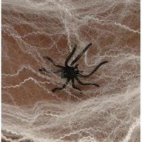 HALLOWEEN SPIDER WEBS & WEBBING + Spiders - FULL 12 Pack