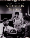 A Raisin in the Sun