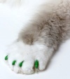 Feline Soft Claws Cat Nail Caps Take-Home Kit, Medium, Green