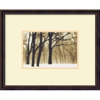 Past Dreams, 2002 by David Lorenz Winston, Framed Print Art - 18.36 x 21.43