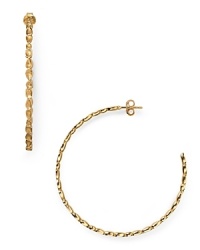 The hoop earring is a have-forever jewel box staple, and this pair from Melinda Maria is sure to shine on, crafted of 14-karat gold plate with delicate pod stations.