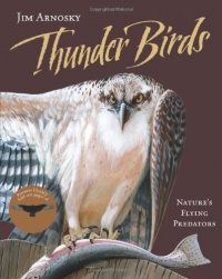 Thunder Birds: Nature's Flying Predators