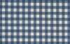 French Check Blue Check Rug Rug Size: Runner 2'9 x 7'10