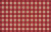 French Check Red Check Rug Rug Size: 3'8 x 5'11