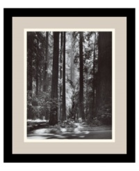 Premier nature photographer Ansel Adams captures the awe-inspiring majesty of California's Redwood forest. A single column of light pierces the dense forest and illuminates its floor in clean, classic black and white.