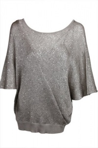 Alfani Womens Dry Champagne Silver Sequin Batwing Sleeve Top XL