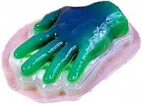 Human Hand Gelatin Mold Halloween Prop