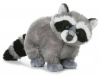 Aurora Plush Bandit Racoon Flopsie - 12